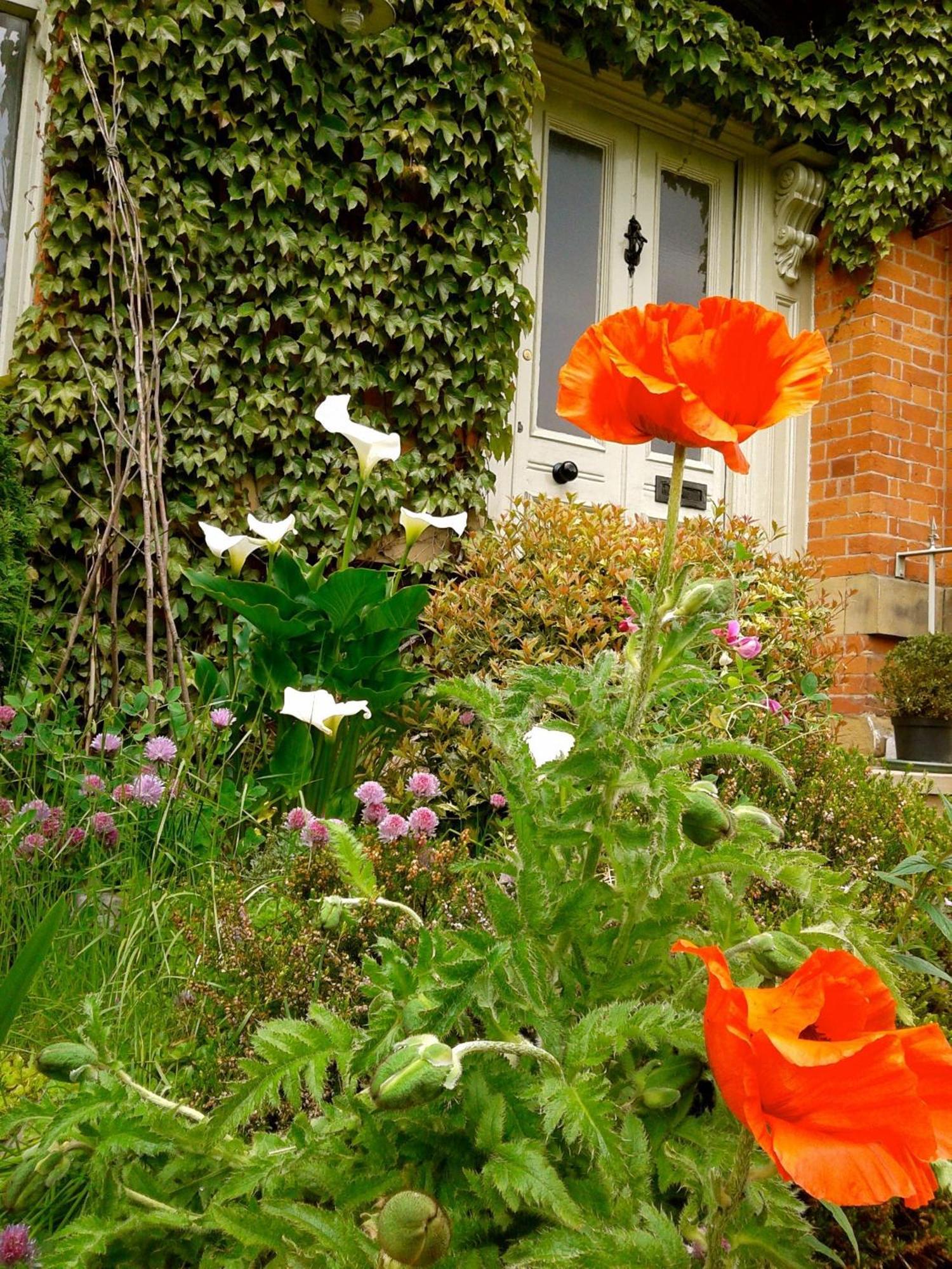 Cornerstones Guest House Sale Exteriér fotografie